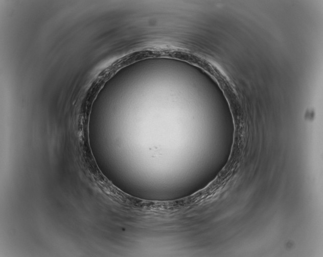 X0000099501016200805291123