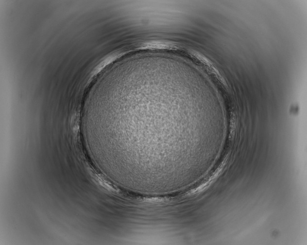 X0000099501017200805291123