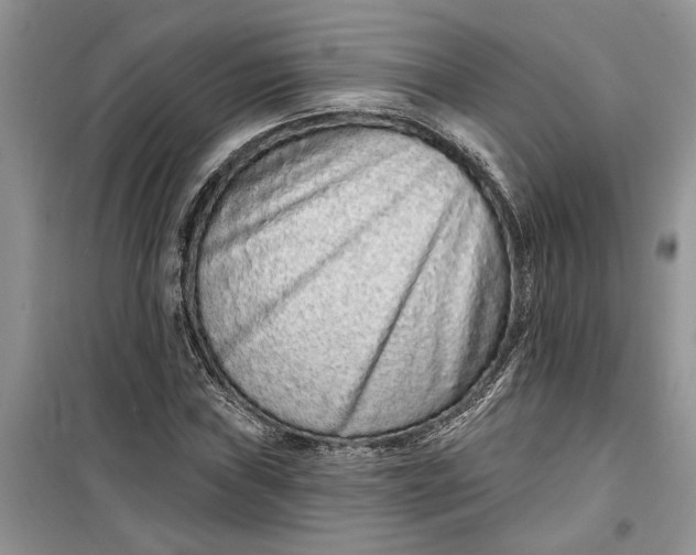 X0000099501019200805291123