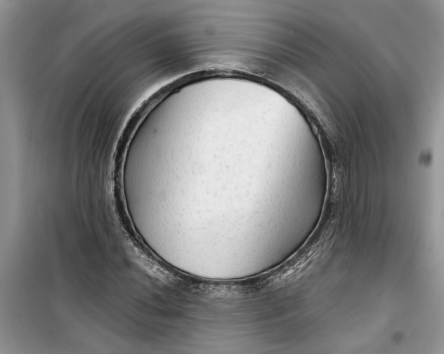 X0000099501020200805291123