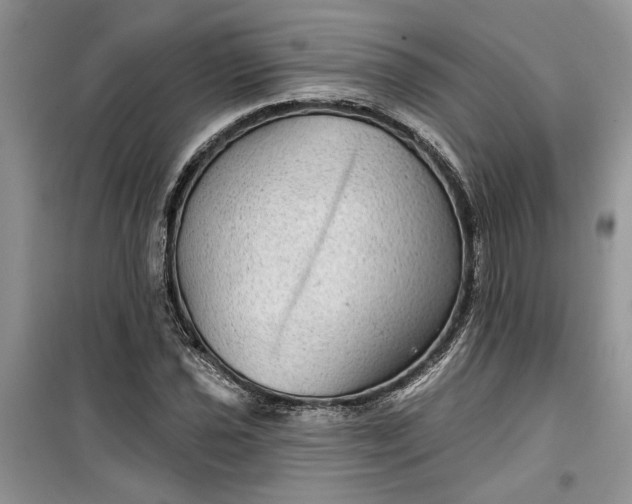 X0000099501021200805291123