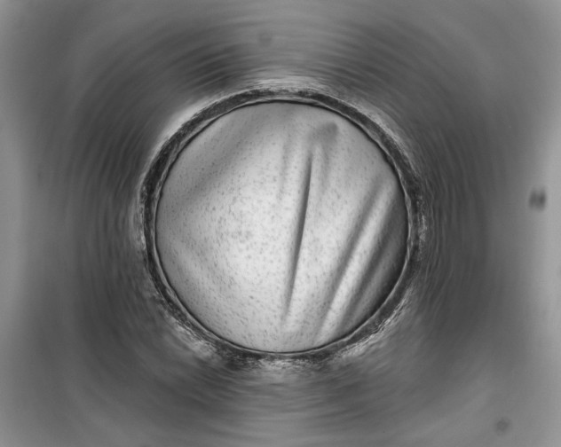 X0000099501022200805291123