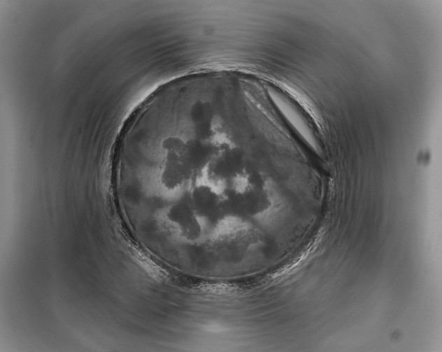 X0000099501023200805291123