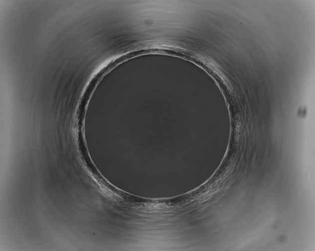 X0000099501024200805291123