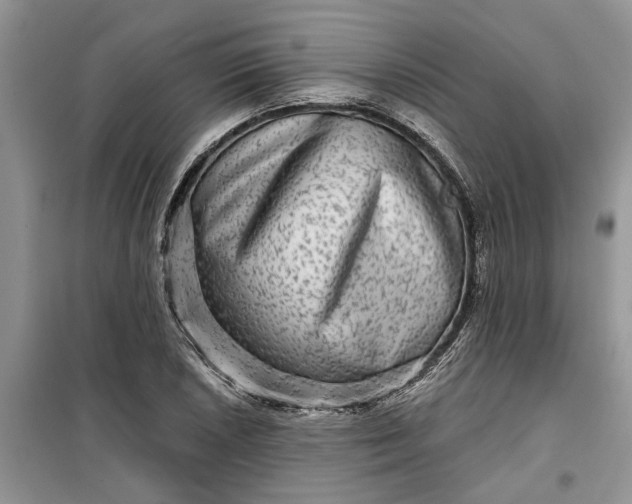 X0000099501026200805291123