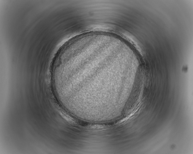 X0000099501027200805291123