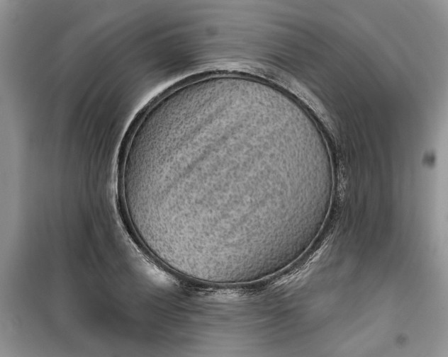 X0000099501028200805291123