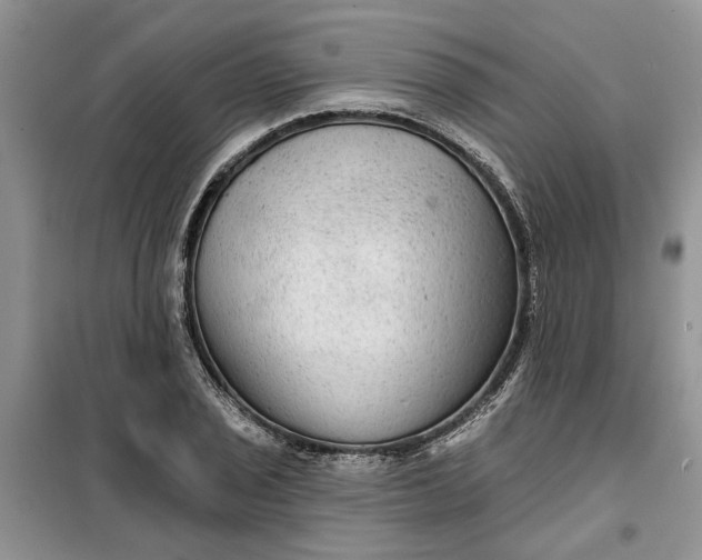 X0000099501029200805291123