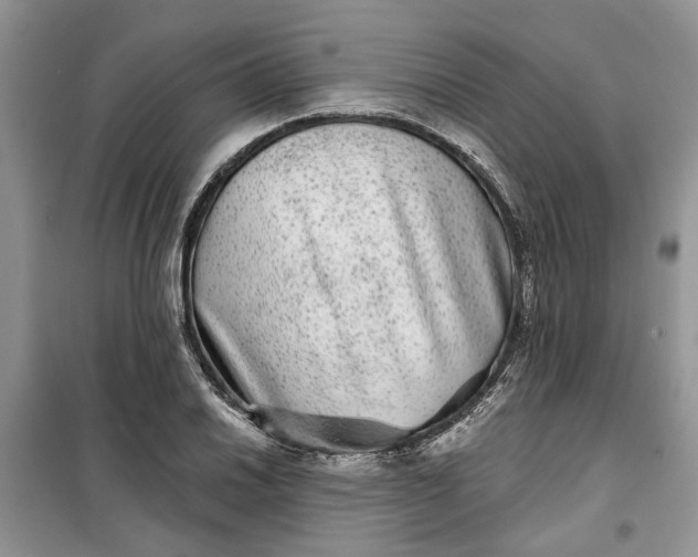 X0000099501030200805291123