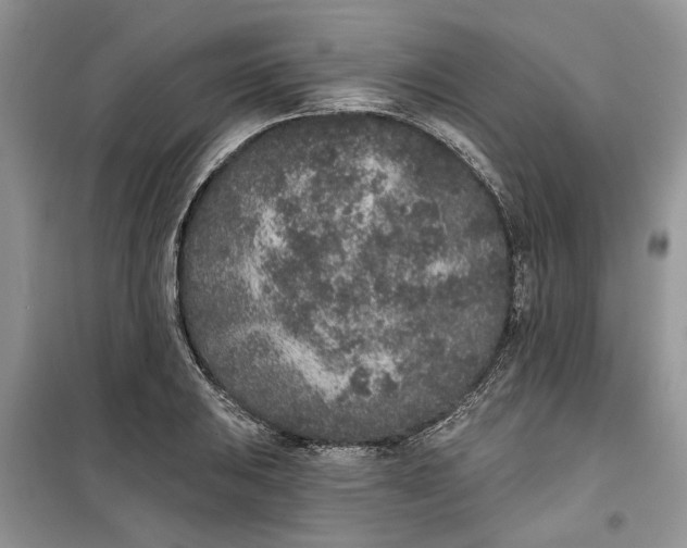 X0000099501031200805291123