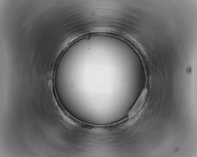 X0000099501033200805291123