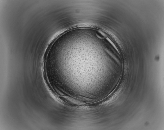 X0000099501034200805291123