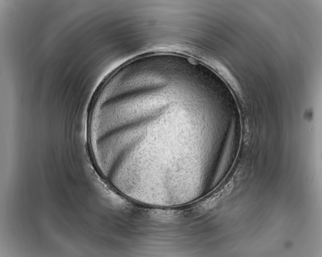 X0000099501036200805291123