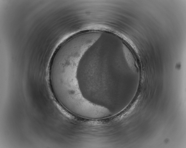 X0000099501037200805291123