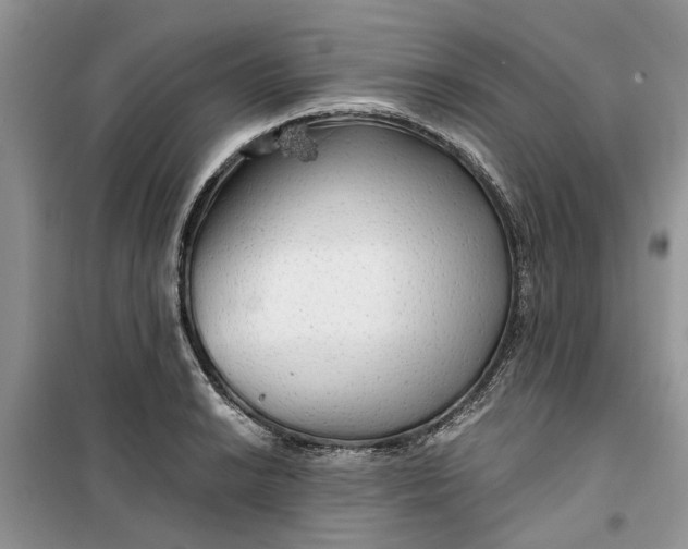 X0000099501038200805291123