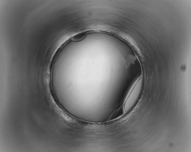 X0000099501040200805291124