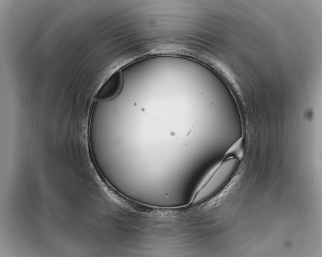 X0000099501041200805291124