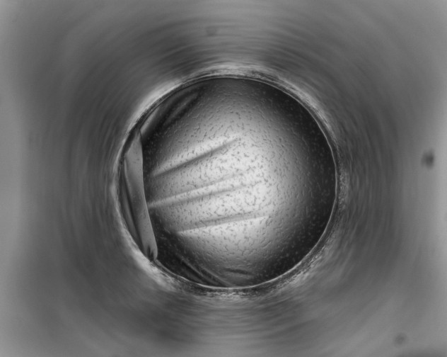 X0000099501042200805291124