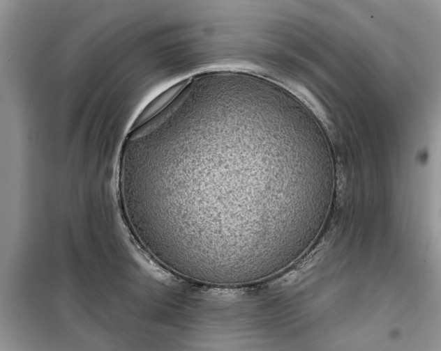 X0000099501044200805291124