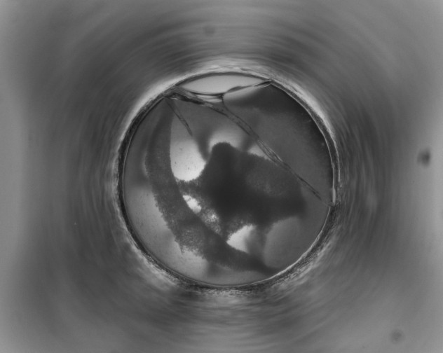 X0000099501045200805291124