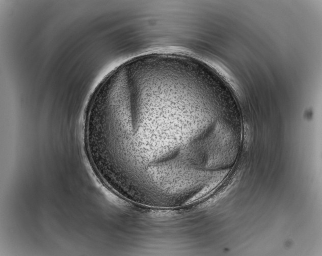 X0000099501046200805291124