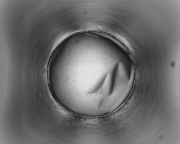 X0000099501047200805291124