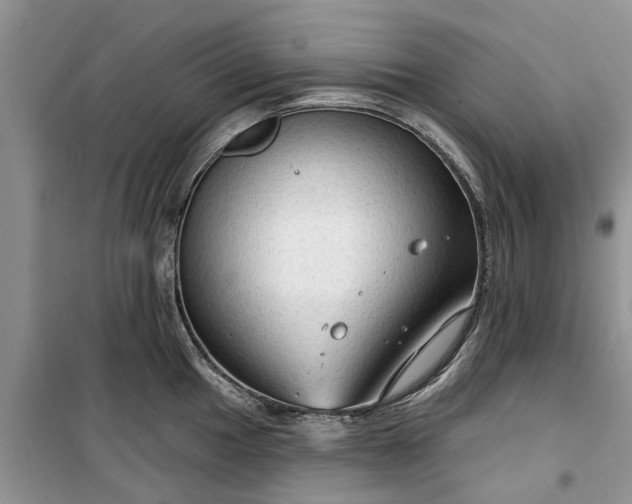 X0000099501049200805291124