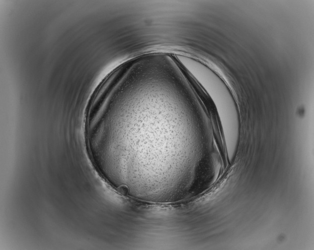 X0000099501050200805291124