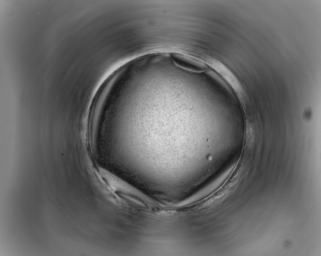 X0000099501052200805291124