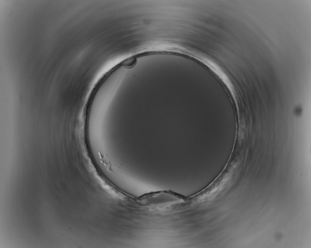 X0000099501053200805291124