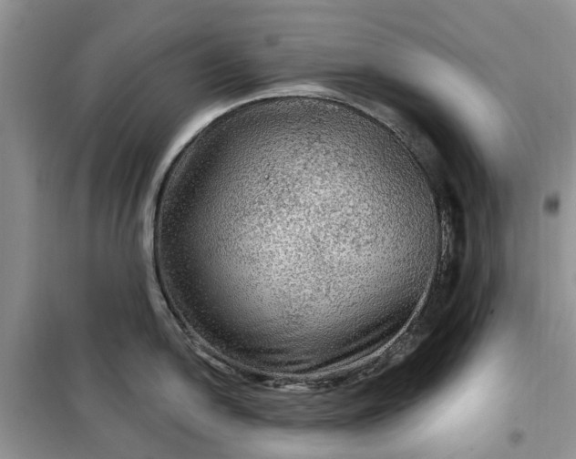 X0000099501054200805291124