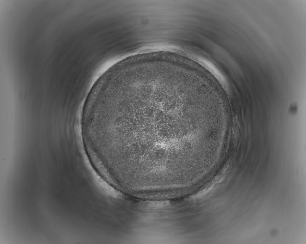 X0000099501055200805291124