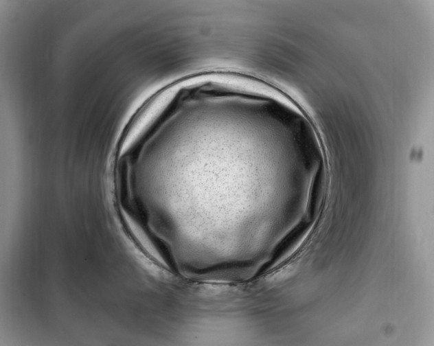 X0000099501056200805291124