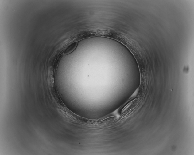 X0000099501058200805291123