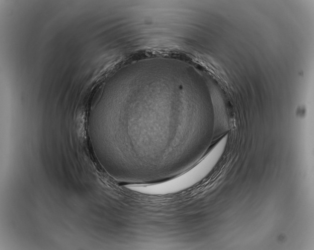 X0000099501060200805291123