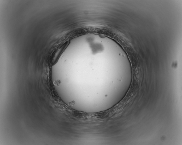 X0000099501061200805291123