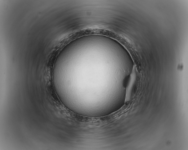 X0000099501062200805291123