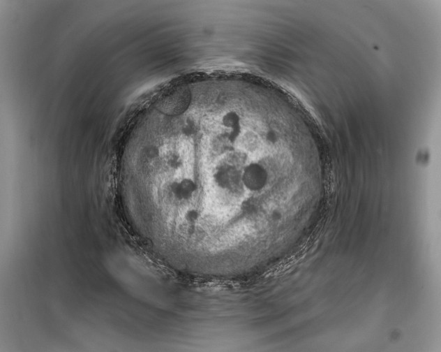 X0000099501063200805291123