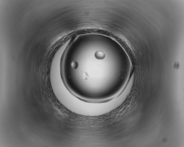 X0000099501064200805291123