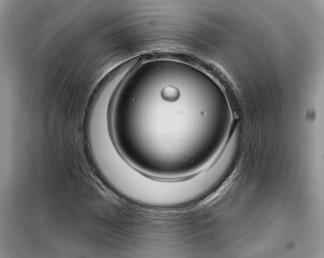 X0000099501065200805291123