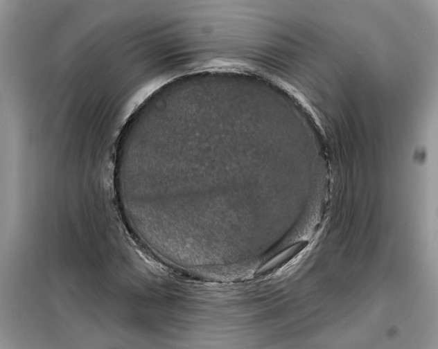 X0000099501066200805291123