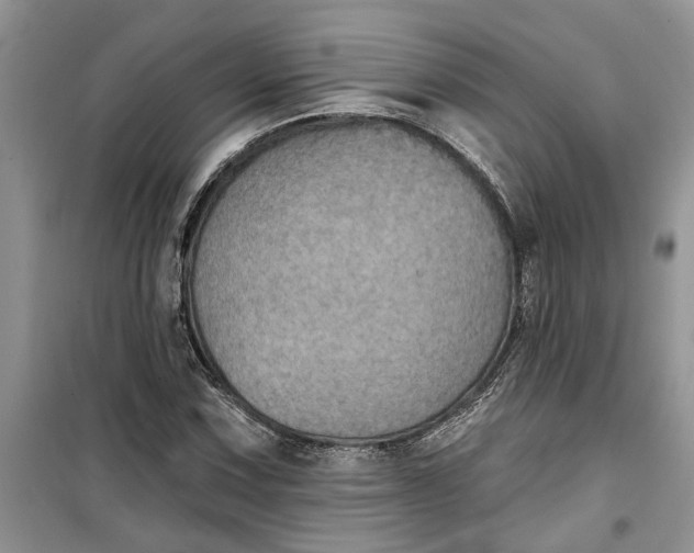 X0000099501067200805291123