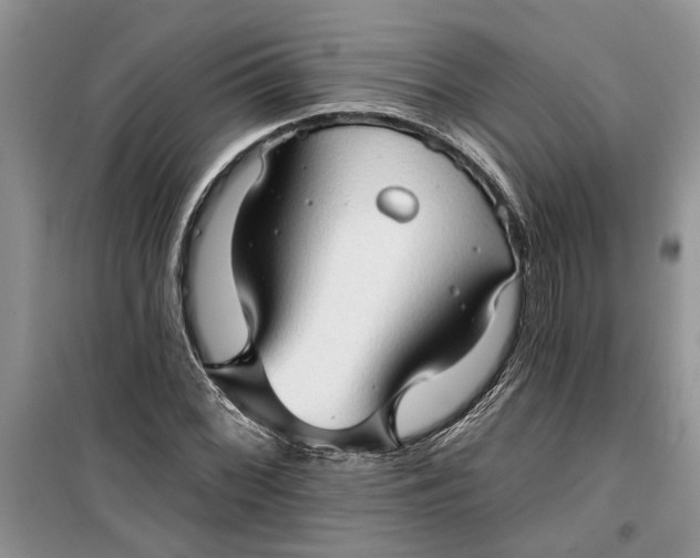 X0000099501068200805291123