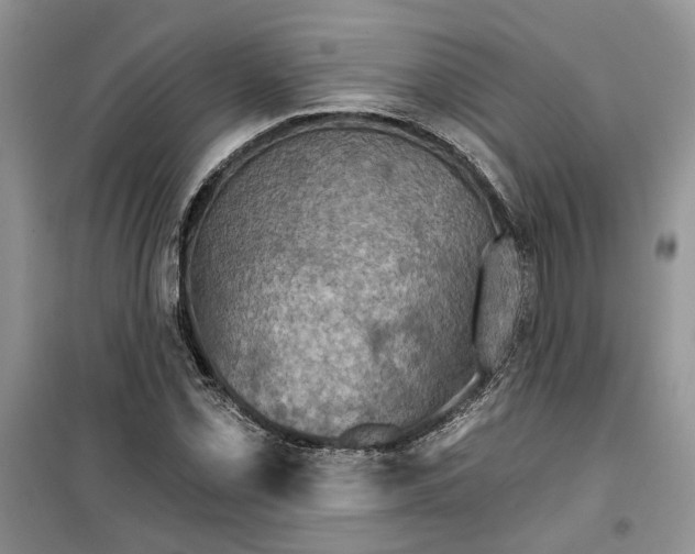 X0000099501069200805291123