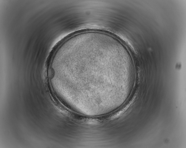 X0000099501070200805291123