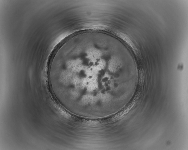 X0000099501071200805291123