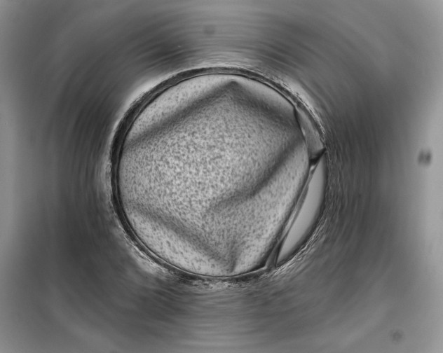 X0000099501072200805291123