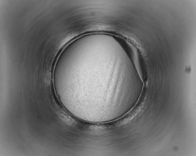 X0000099501073200805291123