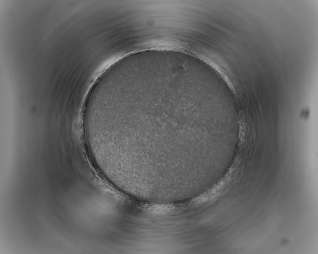 X0000099501074200805291123