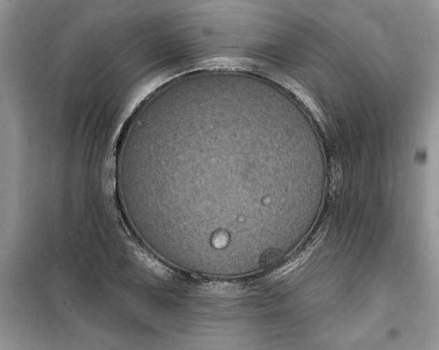 X0000099501075200805291123